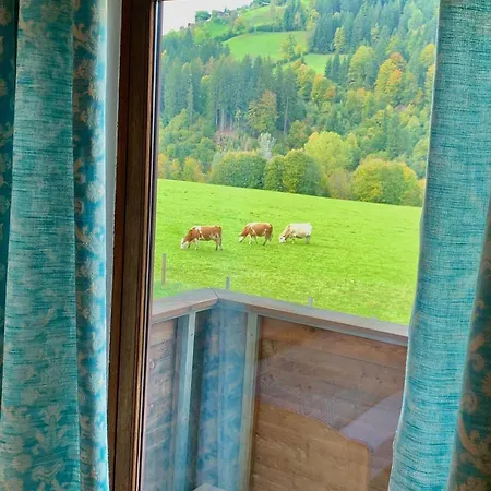 Fleckalm Chalets Kirchberg in Tirol Room photo