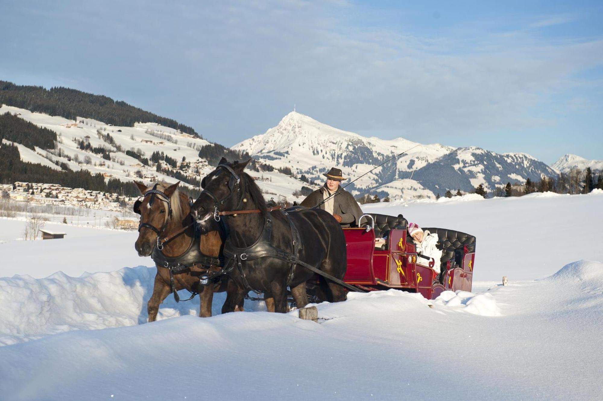 Fleckalm Holiday home Kirchberg in Tirol