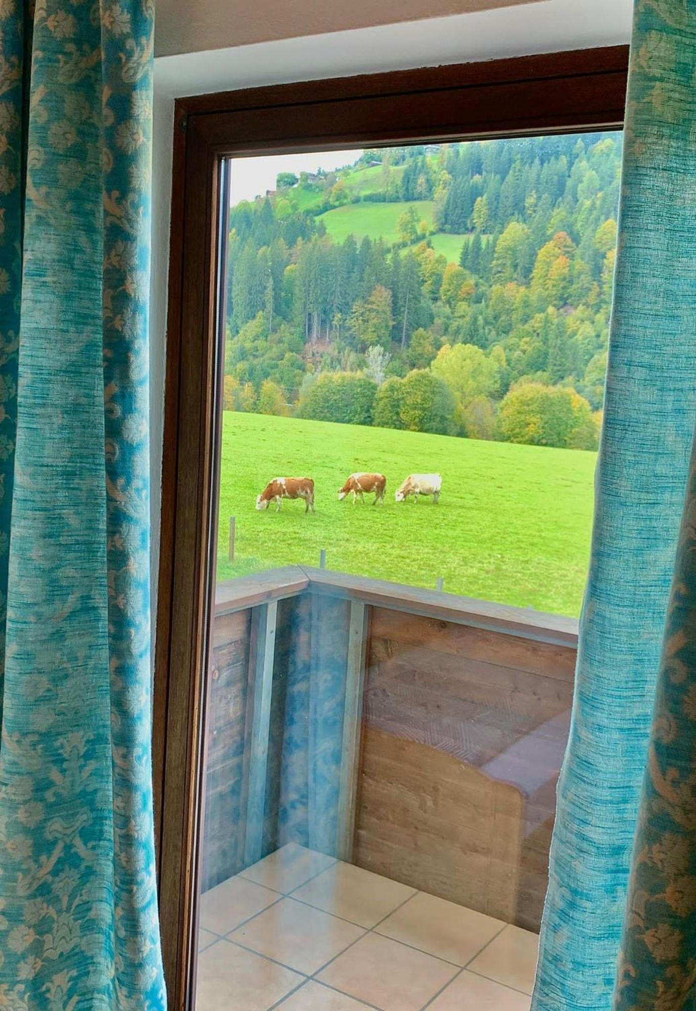Fleckalm Holiday home *